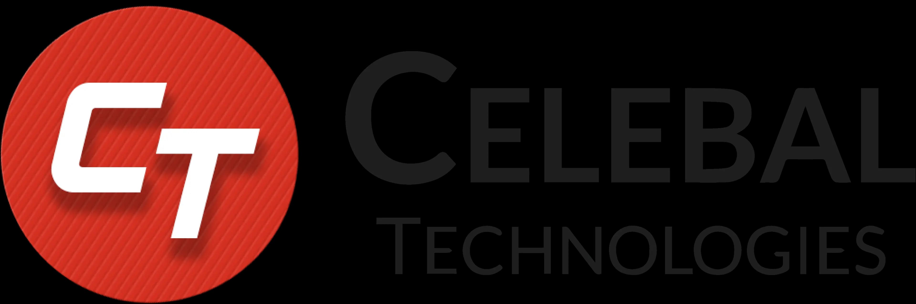 Celebal Technologies Pvt Ltd